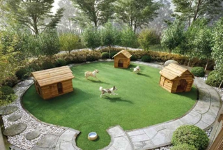 Pet Park